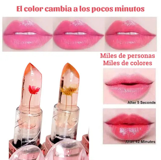 LABIAL KOREAN